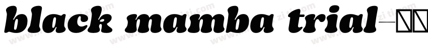 black mamba trial字体转换
